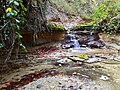 Kleiner Wasserfall im Bachtobel