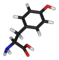 tyrosine