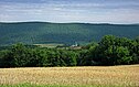 Nescopeck Mountain im Bereich der Main Township