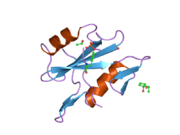 2cia: HUMAN NCK2 SH2-DOMAIN IN COMPLEX WITH A DECAPHOSPHOPEPTIDE FROM TRANSLOCATED INTIMIN RECEPTOR (TIR) OF EPEC