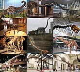 Sauropods