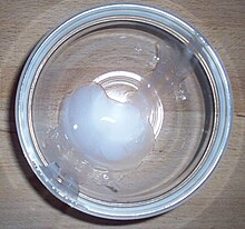 A round clear dish viewed from above with a translucent white liquid pooled at the bottom