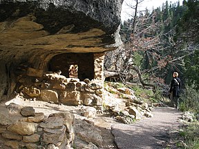 Felsenbehausungen im Walnut Canyon