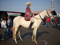 Akhal teke (krém)