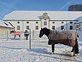 01/2017 Cavalli della Madonna, Einsiedeln