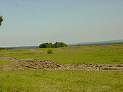 Typical training area landscape: tank tracks can be clearly seen.