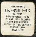 Stolperstein für Elise Falk (Novalisstraße 2)