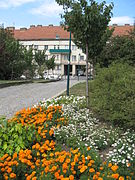 Zugang zum Birkenhof