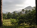 Valle de Viñales, das Viñalestal.