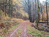 Herbst im Bergischen