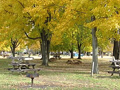 Some of more than 100 picnic tables northwest of the pavilion