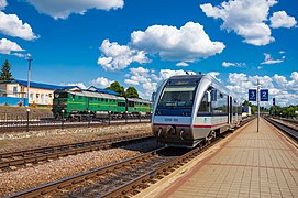 Trains at Smorodyne station