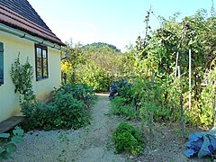 Hausgarten mit historischen Nutzpflanzen