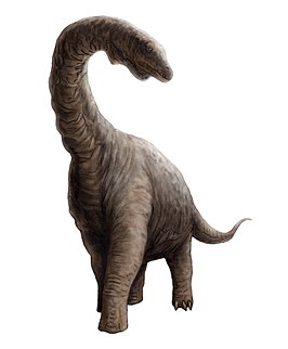 Argyrosaurus