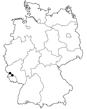 Verlauf der B 52