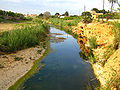 The river Girona at the height of El Verger.