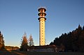 Fernmeldeturm Deilingen auf der 980 m ü. NN hohen Schlichte