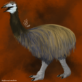 Mullerornis