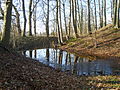 Typischer Turmhügel in Schmoldow in Vorpommern – Wall, Graben mit Wasser, Turmhügel