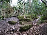 Sydenham Hill Wood