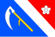 Vlag