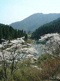 Ichikawa Okawachi-Hase