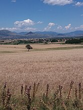 Kalochori from a distance