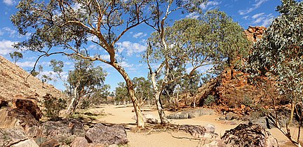 Leaving Simpsons Gap