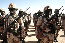 Bir Nijer ordusundaki askerler, Çöl Kalkanı Operasyonu sırasında ileri gelen bir görevlinin karakolunu ziyaret ettiği sırada ayakta duruyorlar ve M14 tüfekleriyle silahlanmışlar.
