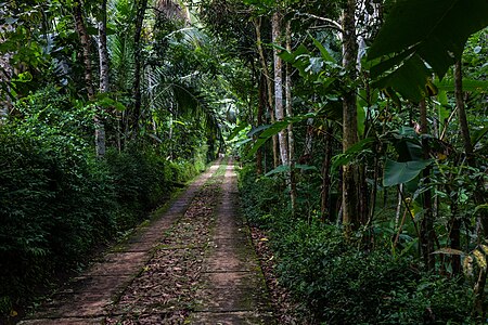 Pathway in Taman Sari, near Petilasan Carangandul