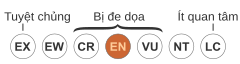 IUCN conservation statuses