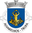 Vlag van Alvarelhos