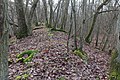 Abschnittswall Burgener Druidenstein. Blick über den Kamm des Hauptwalls