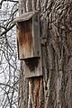 Bat house, St. Louis Zoo