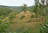 Burgstall mit doppeltem Halsgraben (von Westen)