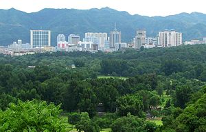 View of downtown area