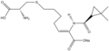 Cilastatin