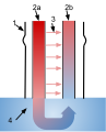 This is a heat exchange between vessels as one vessel gives heat and the other receives it. When part of a mammals body, in this case a duck foot, is submerged in a colder substance, in this case being water, the mammal starts counter current heat exchange. The vessel going down transfers it's own heat to the vessel that has lost heat. 1 - This is the outside of the ducks foot. 2a - Warm blood is flowing from the core of the body down the vein. 2b - The blood flowing up from the cold substance is receiving heat from the vein. 3 - The transfer of heat form the vein to the vessel. 4 - A representation of the rest of the leg.