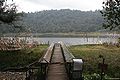 Foot bridge to Khecheopalri Lake