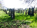 Grabsteine auf dem jüdischen Friedhof in Babenhausen