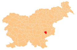 Location of the Municipality of Škocjan in Slovenia