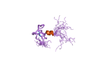 1xwh: NMR structure of the first phd finger of autoimmune regulator protein (AIRE1): insights into apeced