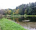 Stadtpark zwischen Innenstadt und Flüsschen Grabia