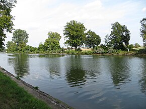 Der Neckarkanal Horkheim südlich Horkheims