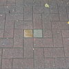 Stolpersteine Rehburg Heidtorstraße 28