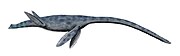 Restoration