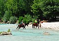 Μικρογραφία για την έκδοση της 07:06, 3 Μαΐου 2018