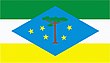 Vlag van Laranjeiras do Sul