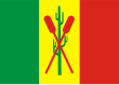 Vlag van Petrolina