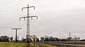 Ältere Donaumasten bei Straßkirchen, möglicherweise die namensgebende Trasse